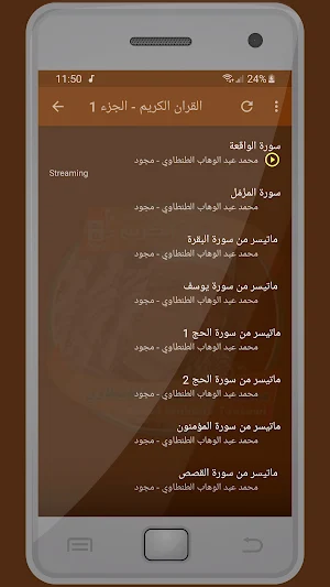 المصحف الشريف عبد الوهاب الطنطاوى صوت عالي الجودة Screenshot 1