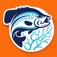 BrushPile Fishing