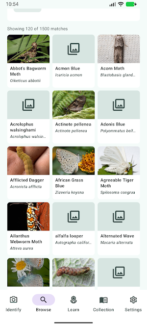Butterfly Discover Screenshot 3