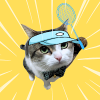 Funny Cat Tennis