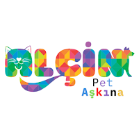 Alçin