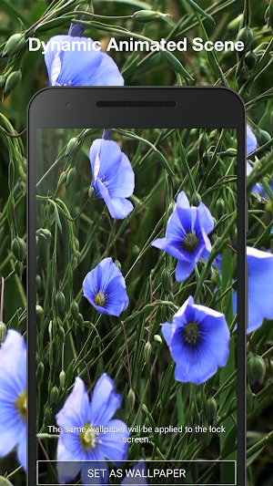 Spring Flowers Live Wallpaper Screenshot 1