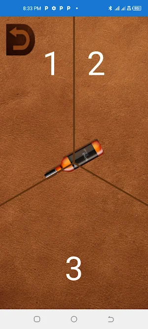 Friend Spin the Bottle Screenshot 2