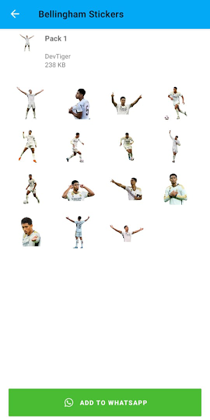 Bellingham Stickers Screenshot 0