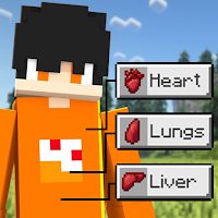 Chest Cavity Mod for Minecraft