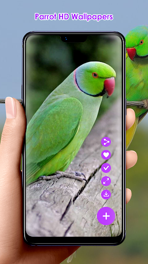 Parrot HD Wallpapers Screenshot 1