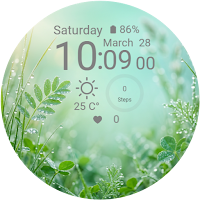 Morning Dew Dial