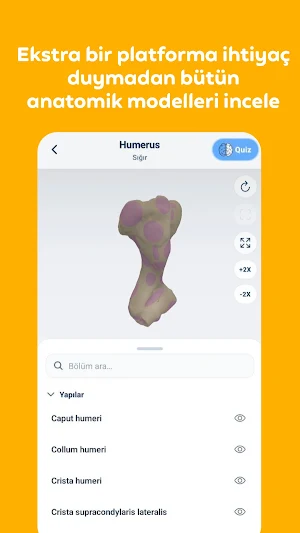 VetDuck Screenshot 1