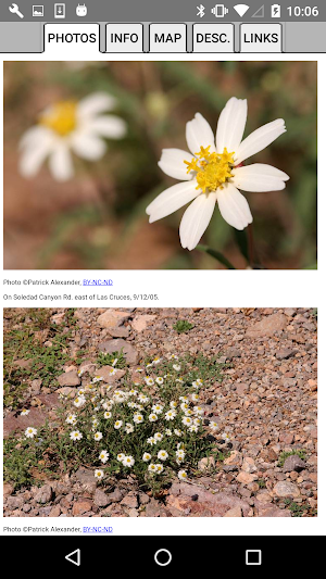 Oklahoma Wildflowers Screenshot 3