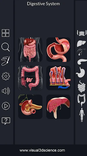 Digestive System Screenshot 0