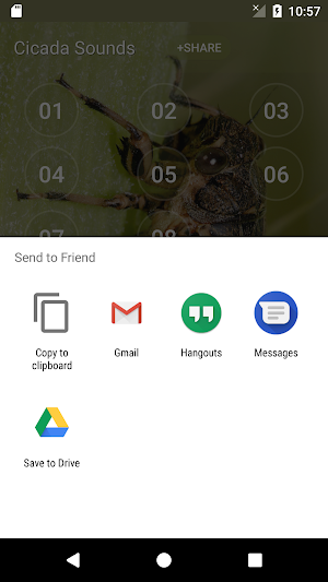 Cicada Sounds Screenshot 3