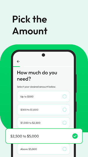 Loan Pro: Installment Loans Screenshot 1