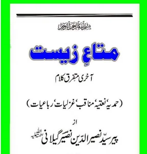 Pir Naseeruddin Naseer Books Screenshot 0