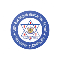 Little Bud School