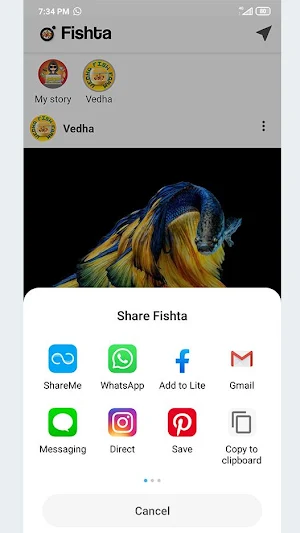 Fishta Screenshot 2