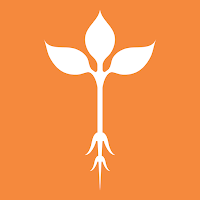 Roots Natural Kitchen Ordering
