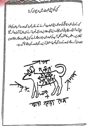 Kala Pani Amliyat in Hindi Urdu Screenshot 3