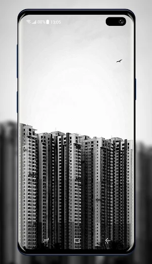 Black and White Wallpaper Screenshot 2