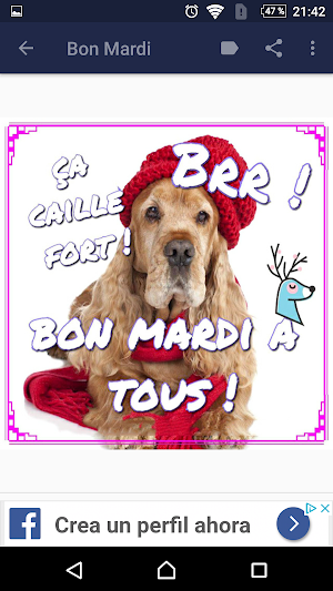 Bon Mardi - Images et phrases Screenshot 2