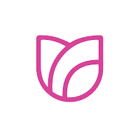 Tulip | توليب