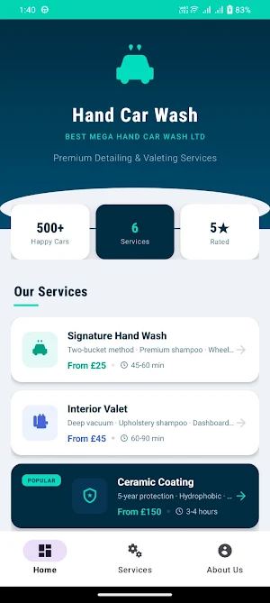 Hand Car Wash Screenshot 3