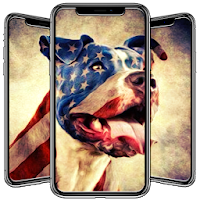 Pitbull Wallpaper