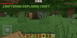 Craftsman Explorer 3D Craft Screenshot 2