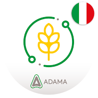 Grano Tenero ADAMA