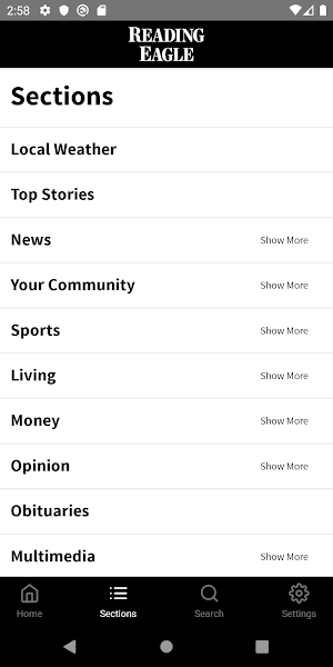 Reading Eagle Screenshot 2