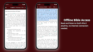 TPT Bible: Passion Translation Screenshot 3