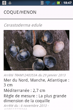LaMaille pour la pêche en mer Screenshot 3
