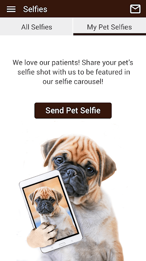 Gillette Pet Vet Clinic Screenshot 3