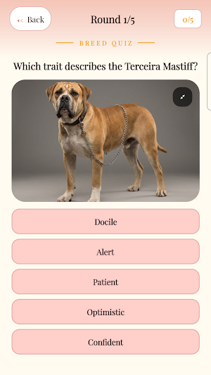 Daily Paws Screenshot 2