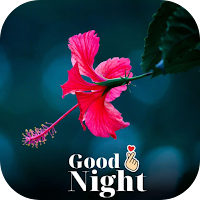 good night flowers images