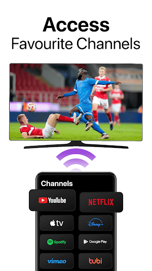 Universal TV Remote for Roku Screenshot 3