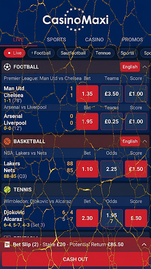 Casino Maxi Screenshot 2