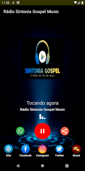 Rádio Sintonia Gospel Music Screenshot 2