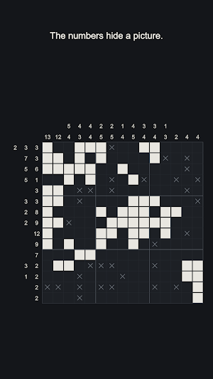 Picta · Nonogram Puzzle Screenshot 0