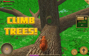 Squirrel Simulator Screenshot 2