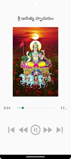 Sri Aditya Hridayam Screenshot 1