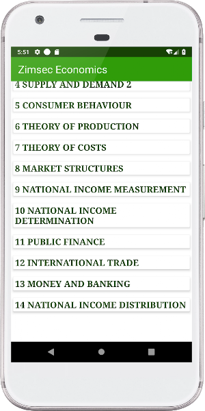 Zimsec Economics Revision Screenshot 1