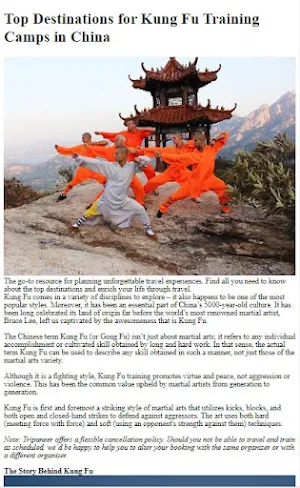 How to Do Kung Fu Training Screenshot 1