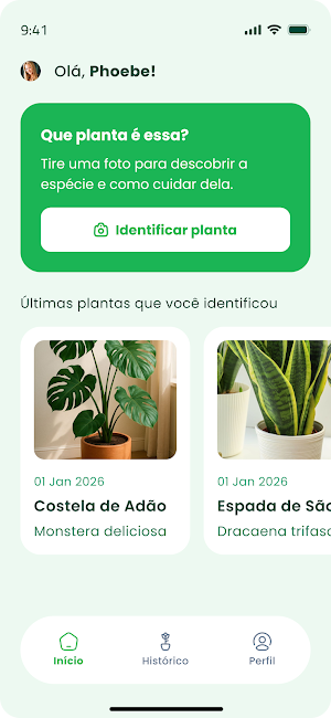 Identificador de Plantas Screenshot 0