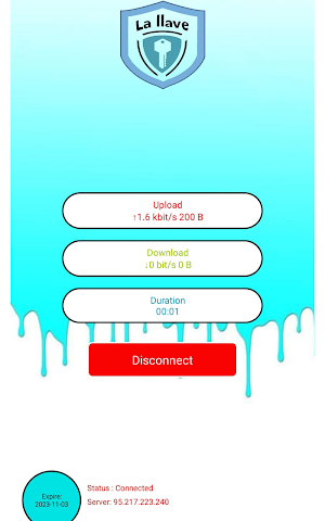 La llave vpn Screenshot 3