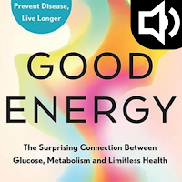Good Energy Audiobook