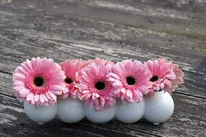 Gerbera wallpapers Screenshot 3