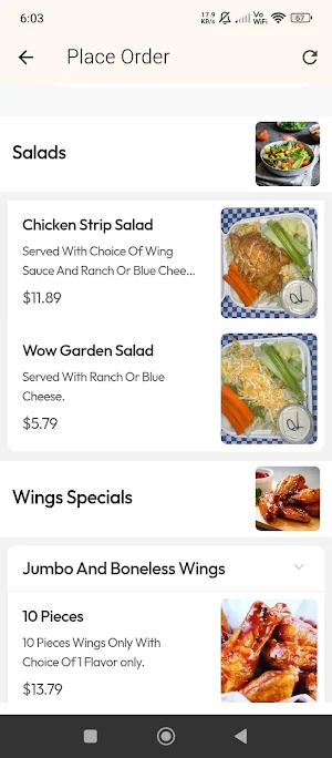 Wild Over Wings Screenshot 3