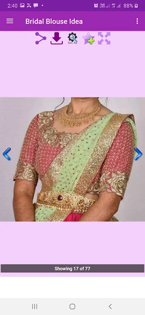Bridal Blouse idea Gallery Screenshot 2