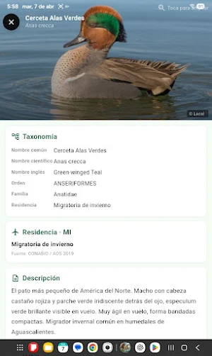HidroFaunaSilvestre Screenshot 0