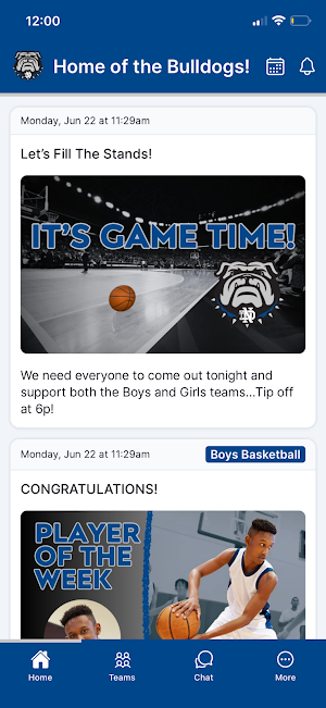 Notre Dame Bulldogs Screenshot 0